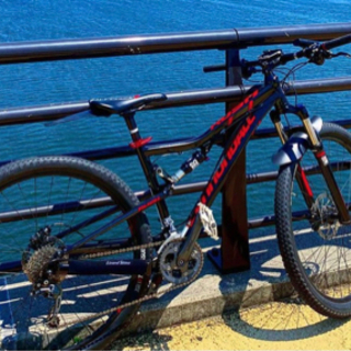 キャノンデールラッシュ 29er
