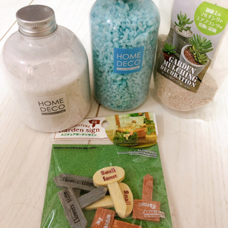 多肉植物等の鉢植え