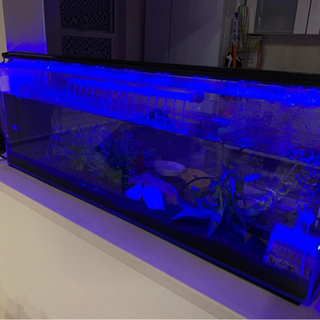 取引中です。水槽&LEDライト&流木and砂利の画像