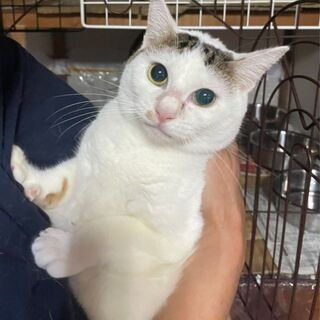 トライアルが決まりました　一時停止にします