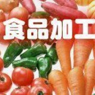ホタテの簡単なパック詰め作業など（20129）の画像