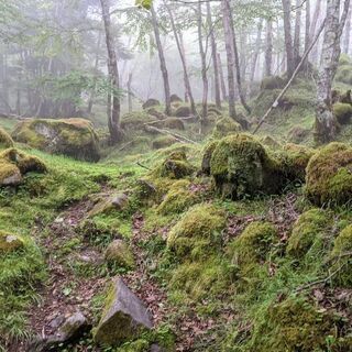 8/8-29 八丁川沢登り