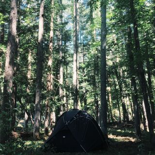 【残り5名限定】キャンプ場開拓メンバー募集してます！