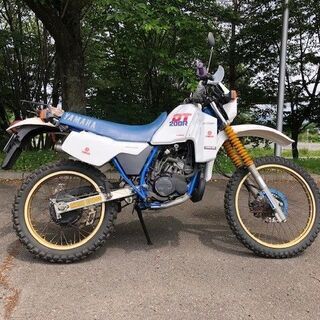 ヤマハ DT200R 1TG 訳あり 部品取り、ベース車にの画像