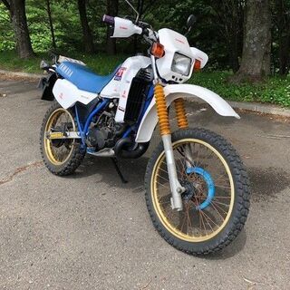 ヤマハ DT200R 1TG 訳あり 部品取り、ベース車にの画像