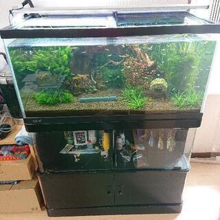 更新9月22日。90cm水槽フルセット 最終値下げ。早い人優先。最後まで