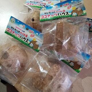 ココナッツハウス