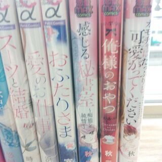 円城寺マキ作品集他フラワーコミックス８冊、秋元奈美作品３冊、計１１冊の画像