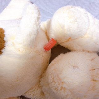 クタクタスヌーピーの画像