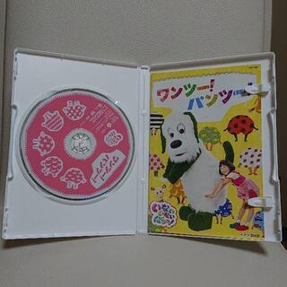 「NHK DVD いないいないばあっ!ワンツー!パンツー!」の画像