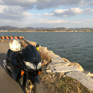 フォルツァ mf08