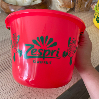 【ゼスプリ】プラスチックのバケツ