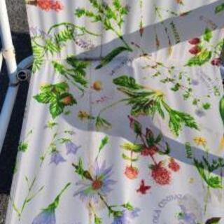 アウトドアチェア　2脚の画像