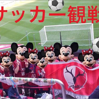 男女混合、初心者・中級者向けスポーツアウトドアサークルで充実した...