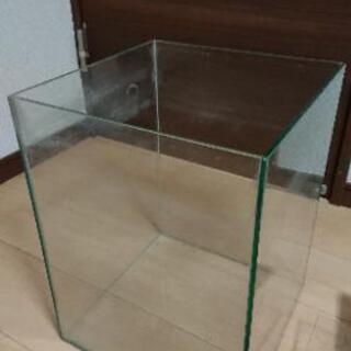水槽 30×40 、ジェックスパワーフィルター M、ライト