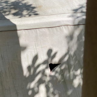 ドッペルギャンガー 無料取引きの画像