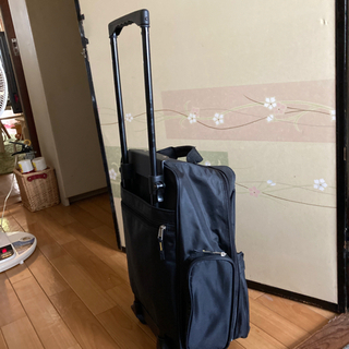 買い物キャリーバック。の画像