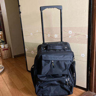 買い物キャリーバック。の画像