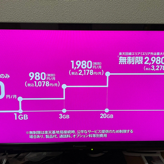 Panasonic テレビ　VIERA A300 TH-24A300