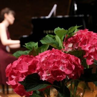 EMUピアノ教室。人生に音の華を咲かせませんか？宝塚から音楽好き...