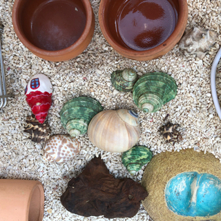 熱帯魚用水槽の画像