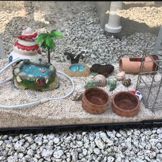 熱帯魚用水槽の画像