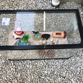熱帯魚用水槽