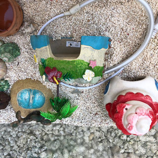 熱帯魚用水槽の画像