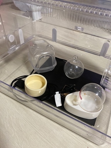 半額で‼️飼育セット一式