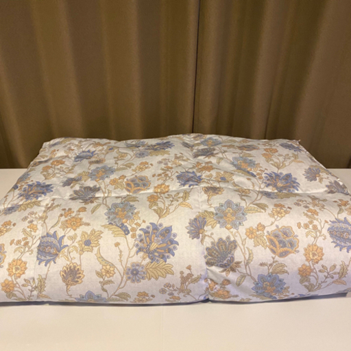 Sleepform 西川リビング 羽毛掛けふとん ①