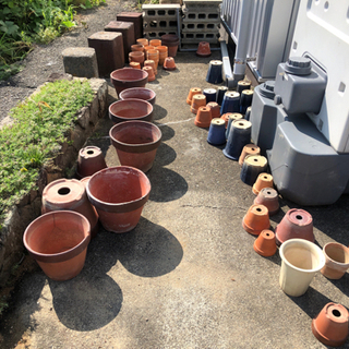 植木鉢　差し上げます。