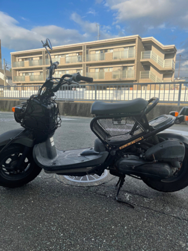 〜〜期間限定値下げ！！〜〜HONDA ズーマー 49cc 現金支払いかのうです！