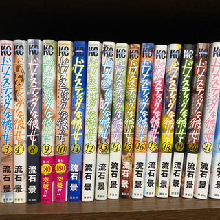 ドメスティックな彼女