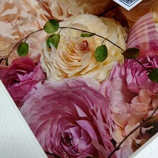 ドライフラワー工房彩の画像