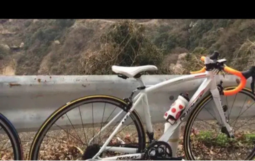 ロードバイク　RIDREY リドレー LIZ