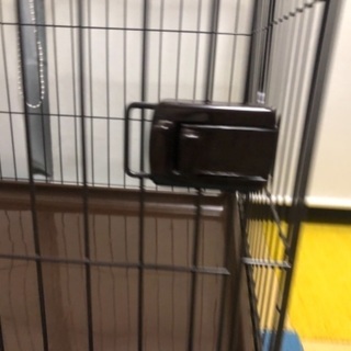 犬　ゲージ