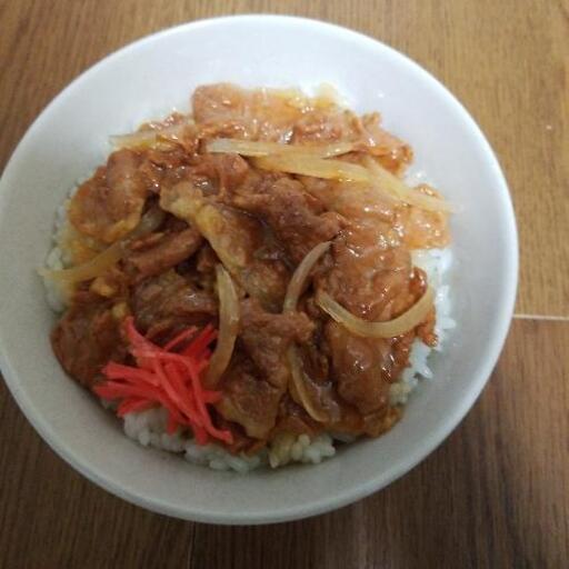 食品サンプル　牛どん