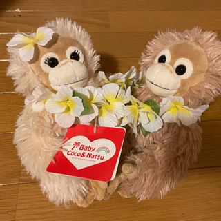 Baby Coco&Nutsu ぬいぐるみセット