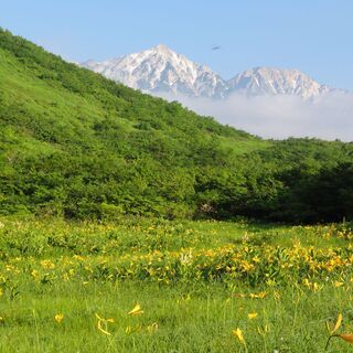 △山登り仲間募集△
