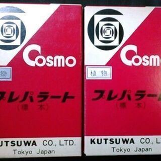 【昭和レトロ】Cosmo プレパラート(標本) 動物12枚 & ...