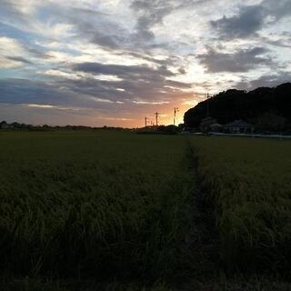 東京近郊(東京から30kmくらい離れる)190平方米一北バス道路