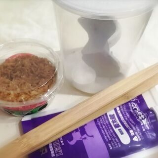 爬虫類生き餌：イエコSS・ミルワーム・レオパゲル