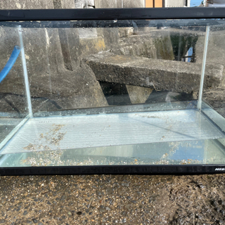 ニッソー NISSO 水槽 60cm 中古