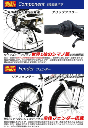 FIAT(フィアット) FDB206L 20インチ 折りたたみ自転車