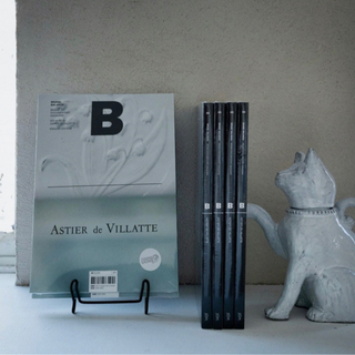 MAGAZINE B ASTIER de VILLATTE 新品