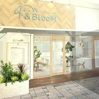 10月オープン！自由が丘初ドッグカフェ併設トリミングサロンの画像