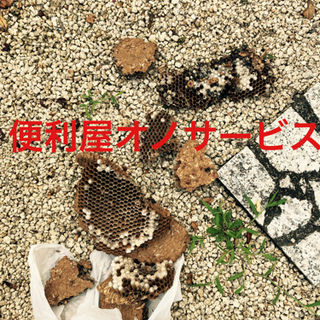 24時間営業‼️愛知県全域  蜂の駆除、ゴキブリ駆除、ヘビ、コウ...