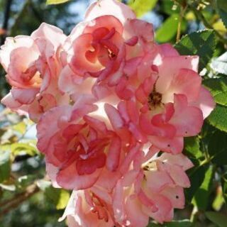 松本市で写真撮りませんか？