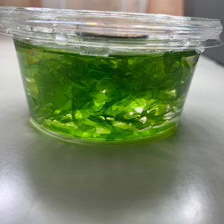 モスファン  の画像