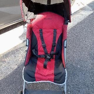 MACLAREN Quest Sport  マクラーレン クエス...